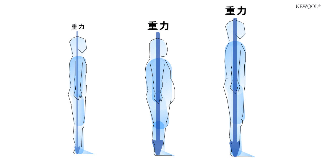 体型と重力の関係