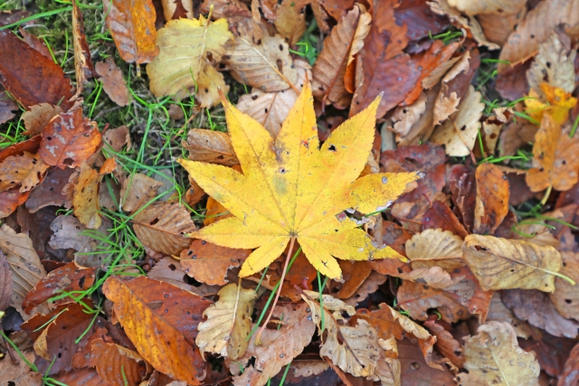 11月。気温低下で身体が硬くなります。