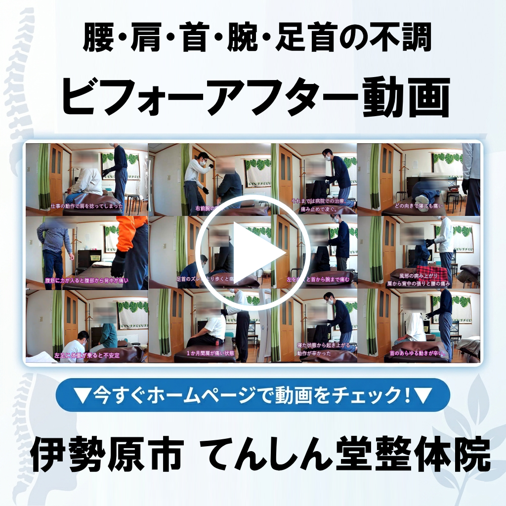「なぜ、あなたの身体は変わるのか？」施術ビフォーアフター動画に込めた想い