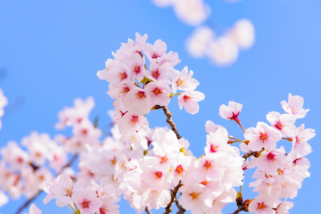 新年度のスタートに。「動的座位メソッド」と春の体調管理について